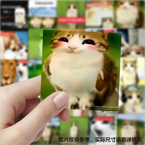 猫头鹰小猫梗图抽象表情包贴纸