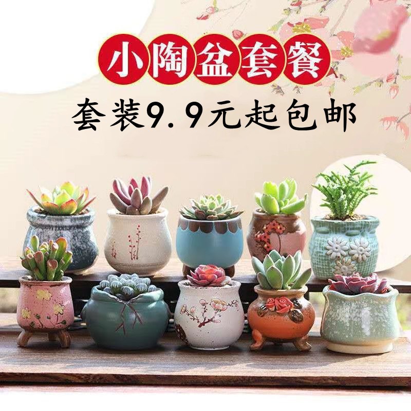 多肉花盆植物陶瓷花盆器装栽复古简约拇指盆肉肉盆栽组合