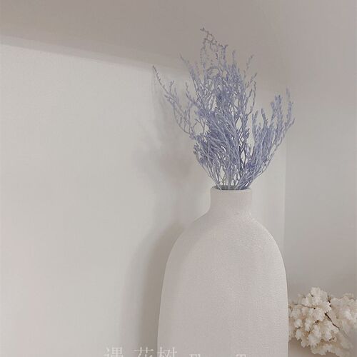 侘寂风极简白色陶瓷花瓶插花干花装饰家居饰品