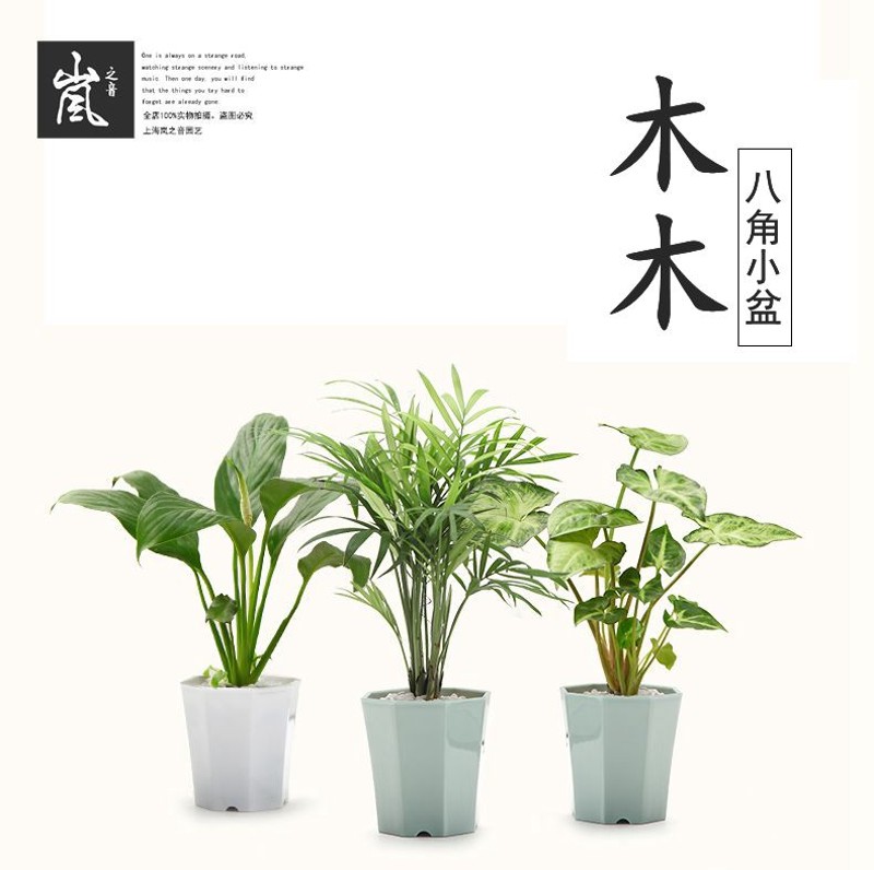 餐丨木木八角盆【个】绿植多肉植物花盆