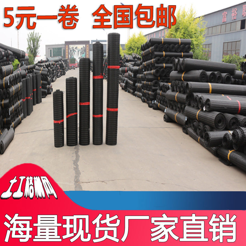 黑色胶网胶网格养殖网土工格栅网养鸡围栏护栏网护网漏粪