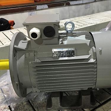 德国AC-Motoren电机FCA132M-47.5W