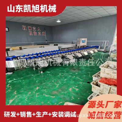 鱿鱼黄花鱼自动重量分选机 小龙虾高精度快速称重自动分级机器