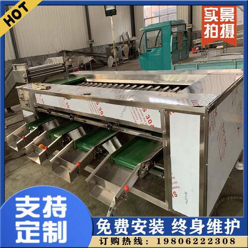 天麻分选设备 无患子石黄皮分选 胖大海滚杠分级机