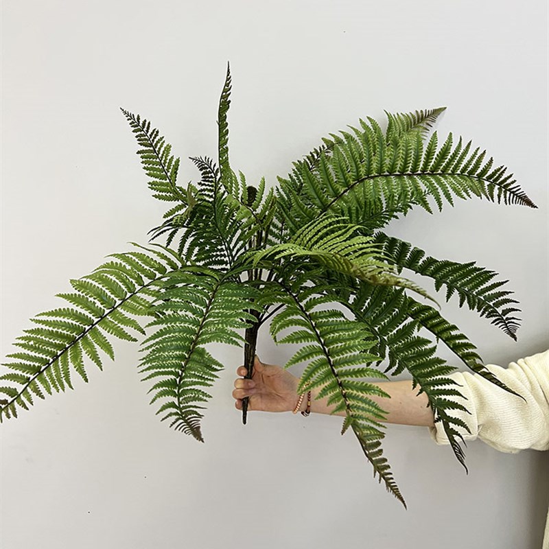 高品质蕨草大蕨叶肾蕨蕨类植物波斯草造景绿植橱窗布景假花软装摆