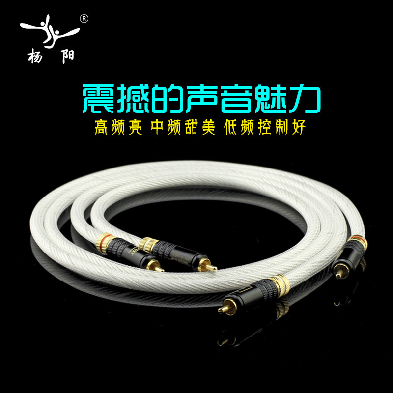 杨阳股单晶镀银二对二双莲花头音响功放连接音频