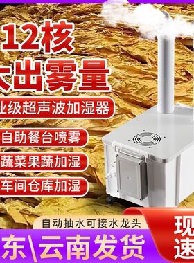 工业超声波加湿器大型大雾量蔬菜烟草保湿喷雾机车间仓库增湿