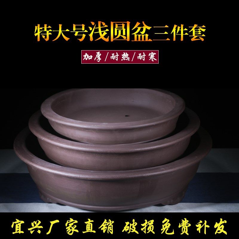 宜兴紫砂花盆特浅款圆口盆景盆中国风口径圆形花卉老桩盆栽盆