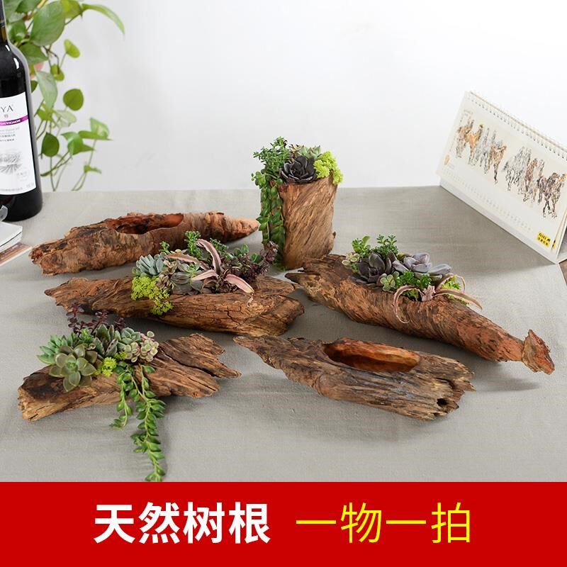 枯树根苔藓造景花盆天然琥珀木腐木质多肉植物长条形木花盆