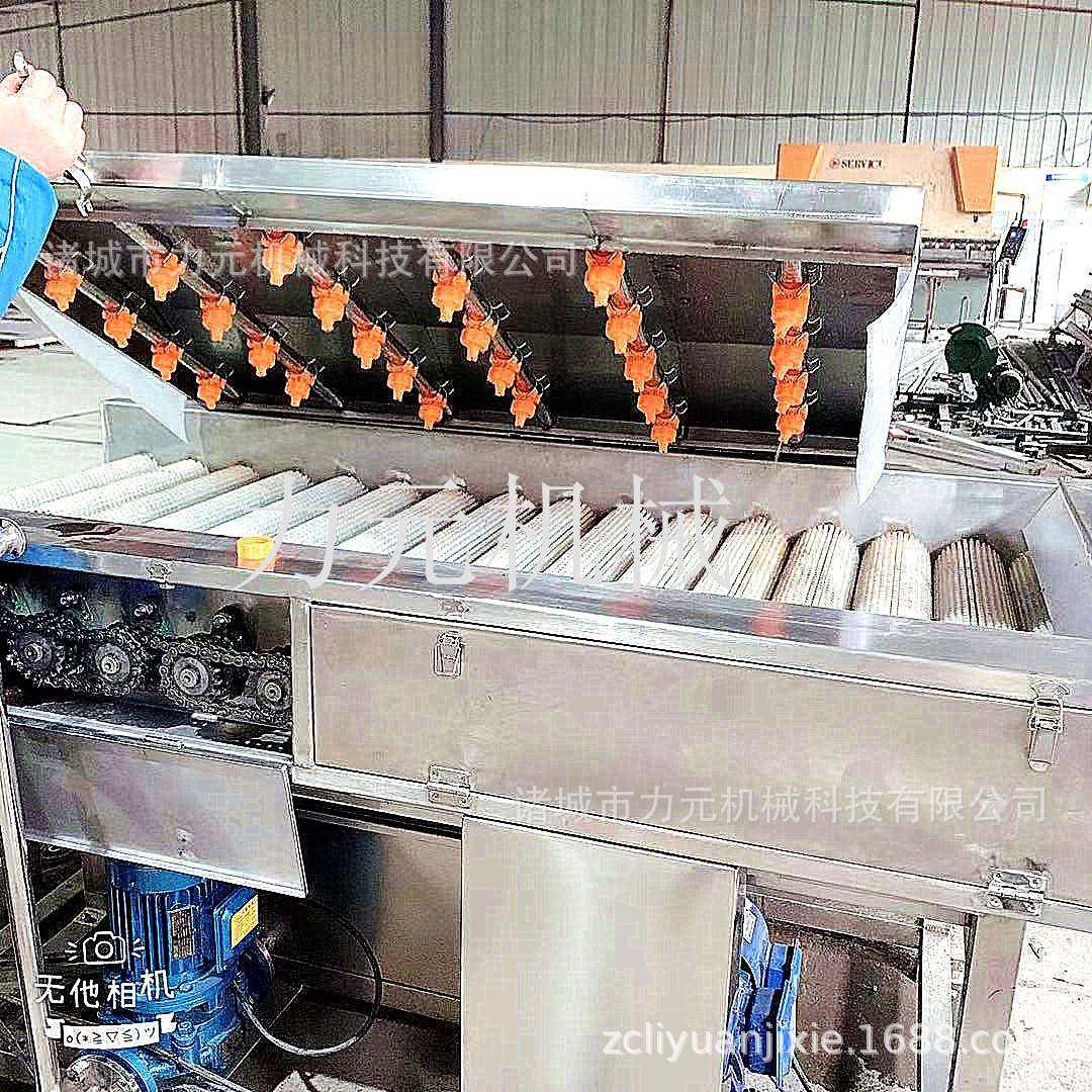 平行式毛辊清洗机海虹海蛎子清洗深加工设备水果蔬菜毛刷清洗机,清洗/食品/商业设备,其他食品加工设备,淘宝优惠券,粉丝福利购,淘宝优惠卷