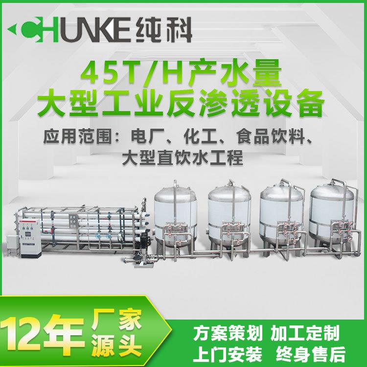 反渗透纯水机10吨20吨40吨50吨100吨大型反渗透净水设备RO食品化