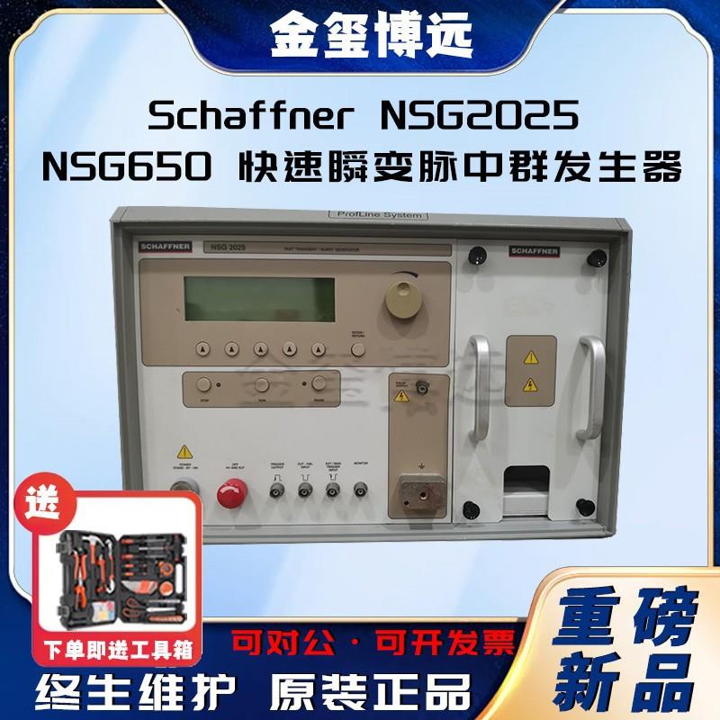 NSG2025NSG650快速瞬变脉中群发生器