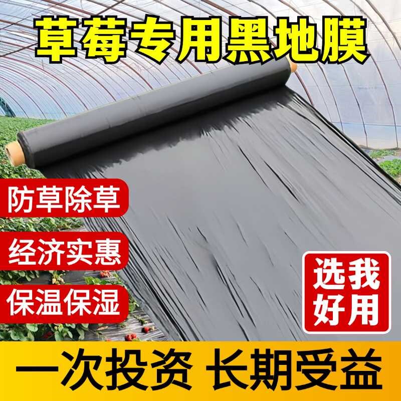 黑地膜农用【草莓种植】加厚抗老化塑料薄膜除草防草大棚果树抑草