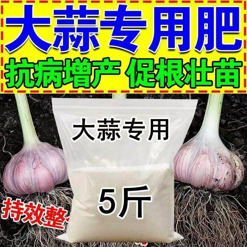 大蒜猛长专用专用肥膨大素防干尖防病害增产粗壮高产新型肥料