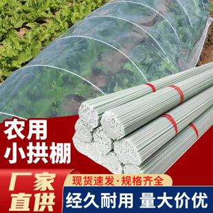种菜支伸缩杆小拱棚农用弯管拱棚薄膜塑料薄膜蔬菜保温架子菜棚支