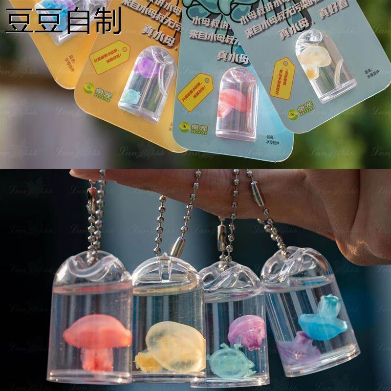 豆豆自制赤月水母标本挂件海洋生物巴布亚摆件学生儿童随身真水母