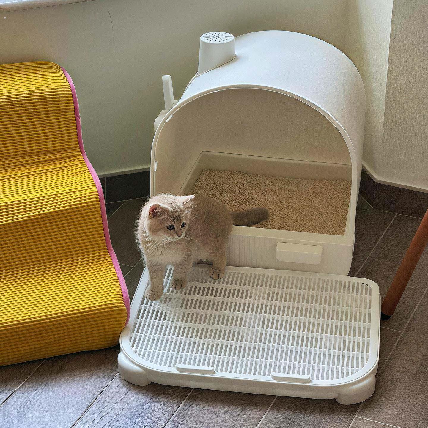 猫砂垫控砂踏板防带出猫砂盆防外溅垫子超大双层集砂过滤宠物用品