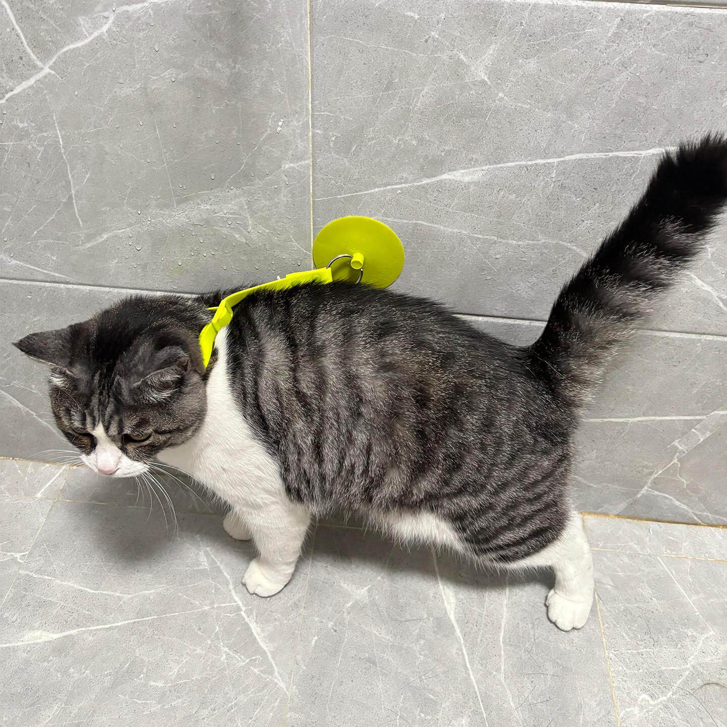 猫咪洗澡神器防挣脱固定器吸盘可拆卸小型犬清洁美容宠物项圈绑带