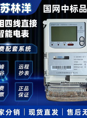 林洋DTSK71-Z型三相四线电能表 1(10)A直接电子表 高精度峰谷380V