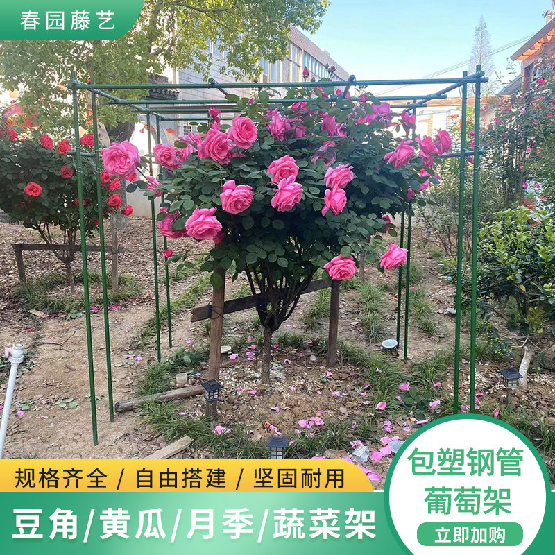 葡萄支撑架黄瓜架蔬菜架爬藤架网豆角丝瓜户外阳台种菜庭院