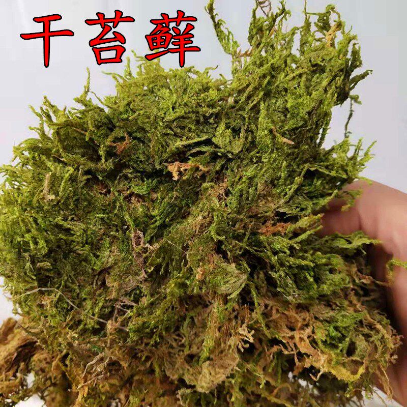 国产干苔蝴蝶兰 压缩干苔藓包装兰花栽培基质种植土