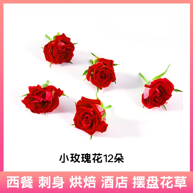 新鲜玫瑰花朵 可食用花 多头玫瑰鲜花 酒店西餐摆盘蛋糕