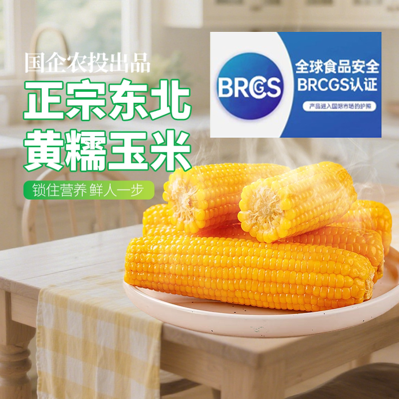 农投2026头茬黄糯玉米大棒真空装