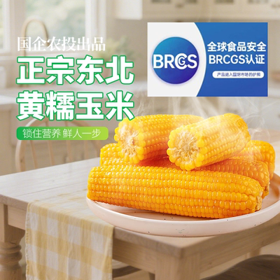 农投2026头茬黄糯玉米大棒真空装