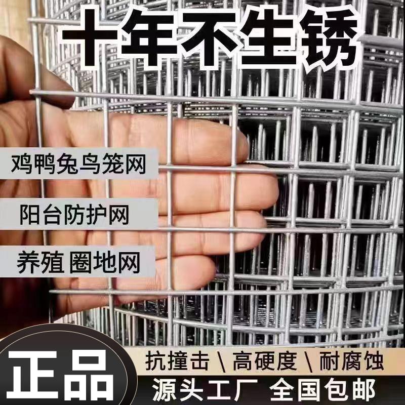镀锌钢丝网鸡鸭养殖网防鼠网阳台防护圈地隔离网玉米网铁丝防锈网