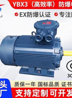 YBX3-315M-10/55W隔爆三相异步电机YB3660V1140V卧式防爆电机