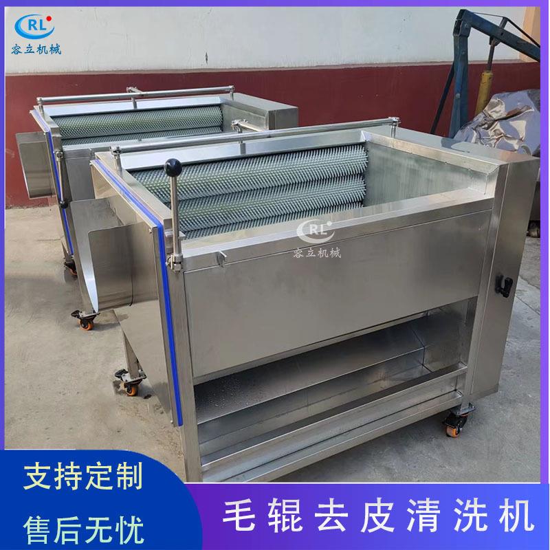 现货刺梨清洗机毛刷式诺丽果红李清洗设备全自动百香果清洗机