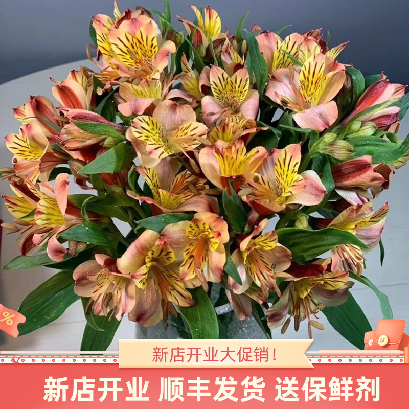 水仙百合花鲜花斗南直发云南基地花卉花束客厅摆设花瓶插花鲜切花图片