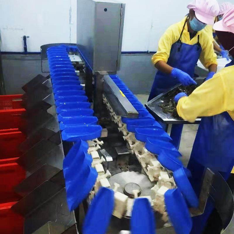 海参转盘式重量分拣机海参鲍鱼自动分级分拣机器,工业油品/胶粘/化学/实验室用品,其他实验室设备,淘宝优惠券,粉丝福利购,淘宝优惠卷