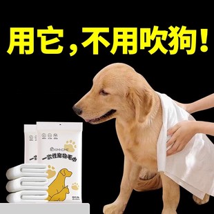 【日本工艺】宠物浴巾一次性吸水毛巾猫咪浴巾比熊狗狗洗澡速干