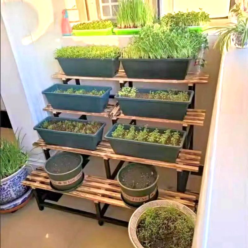 花架子多层阶梯式阳台不锈钢铁艺花盆架户外简约多肉花架置物架