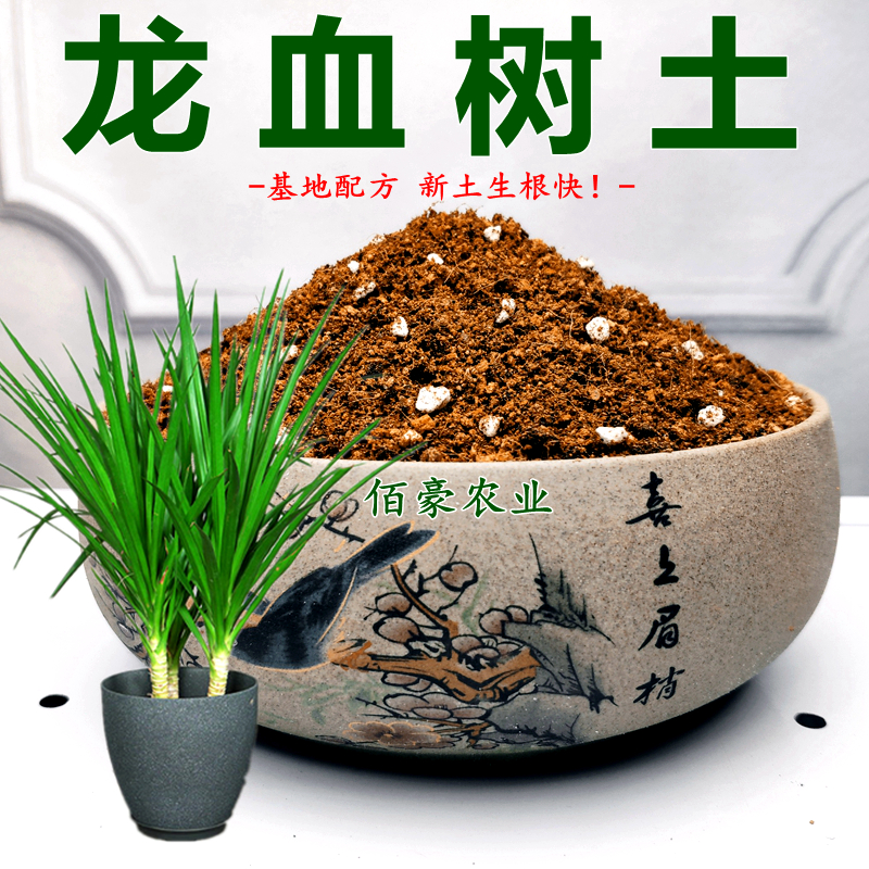 龙血树专用土大型绿营养土养花通用型有机土黑珍珠土龙须树土特卖