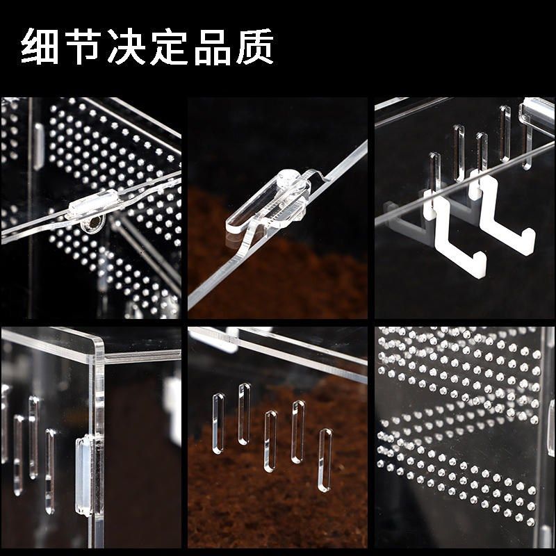爬虫饲养盒宠物箱透明亚克力蜘蛛守宫角蛙甲虫蝎子造景爬宠防逃逸,宠物/宠物食品及用品,爬宠缸/箱,淘宝优惠券,粉丝福利购,淘宝优惠卷