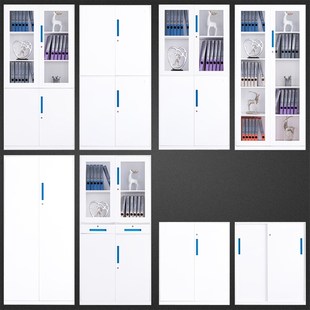 中二斗文件柜办公室铁皮资料档案柜财务储物柜大器械柜玻璃门书柜