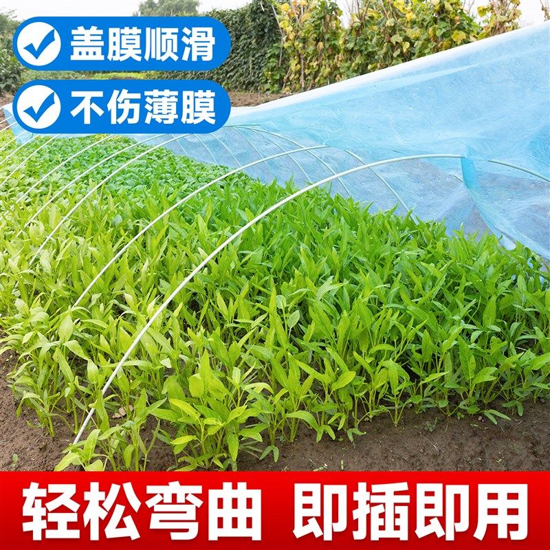 大棚骨架小拱棚支架玻璃纤维豆角架杆温室保温棚玻璃钢实心杆农用