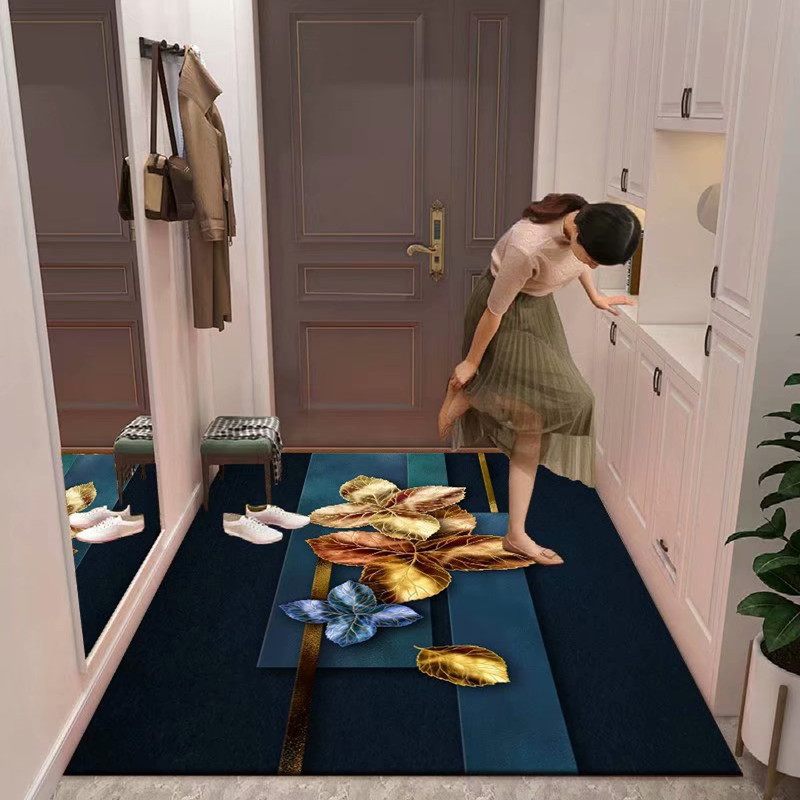 门口进门门垫入户地垫家用玄关门垫子客厅卧室卫生间厕所浴室吸水