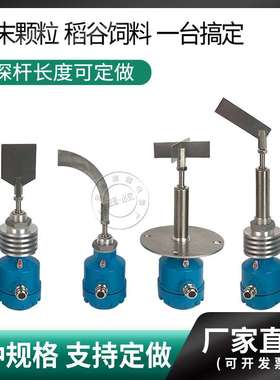 阻旋式料位开关FTM20-AG4 ZXK-10Z UZG-01G8高温螺纹型雷达料位计