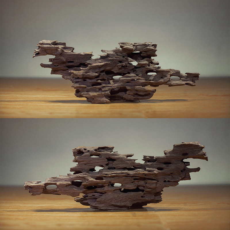 鱼缸中小型虾木 草缸南美造景沉木 蜂窝木水族箱装饰树桩免煮小号