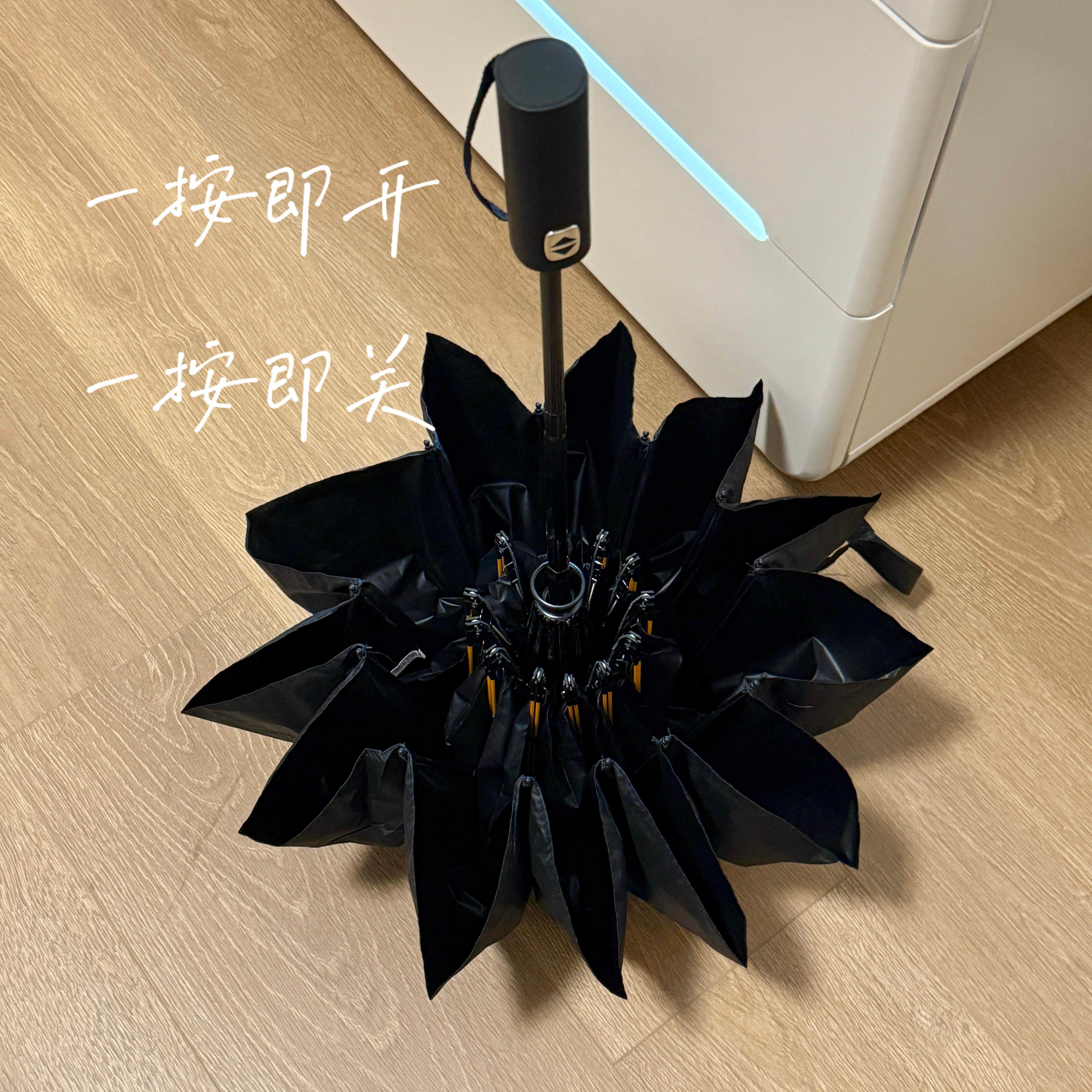 韩剧女二清冷感纯黑全自动雨伞12骨晴雨两用抗风防雨遮阳伞防晒伞