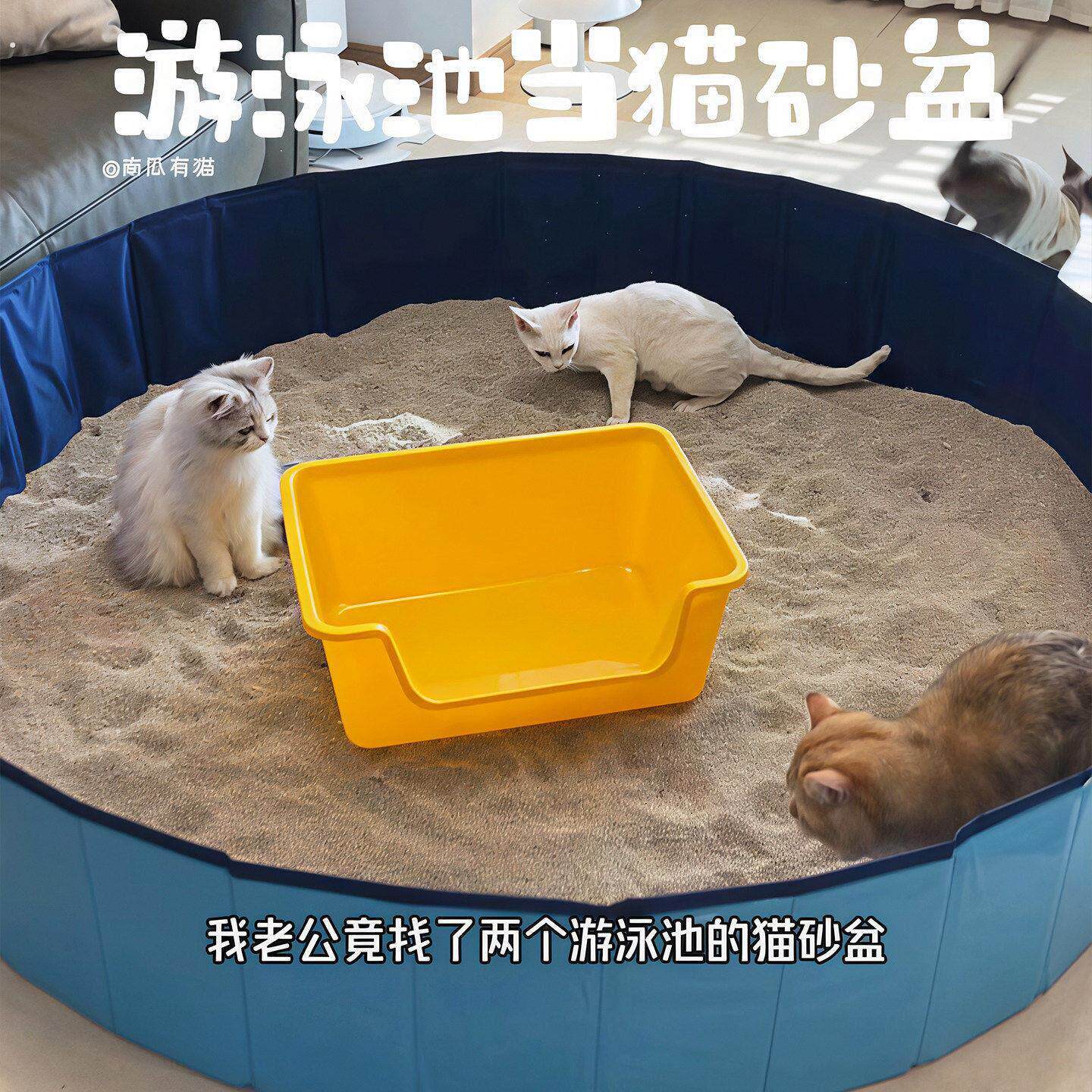 可折叠猫砂盆可携式环保超大号猫厕所防外溅游泳池宠物一次性猫砂