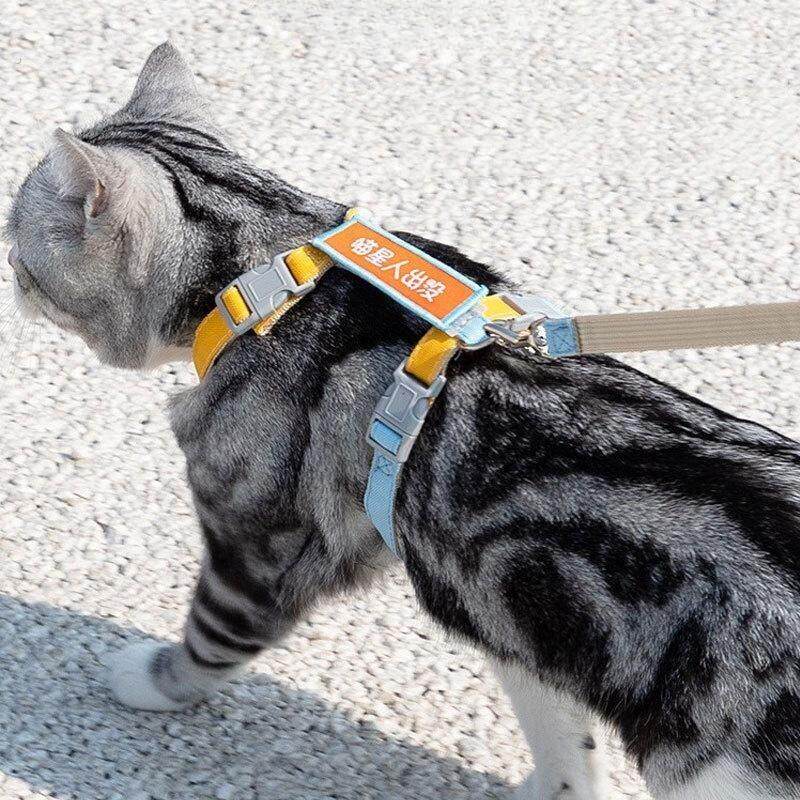 牵引绳猫咪专用宠物防挣脱外出用品背心式胸背带遛猫绳子栓猫琏子