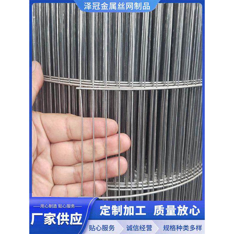 铁丝网长孔笼子养殖防护工厂整卷一件代鸽笼兔笼养殖笼网格片