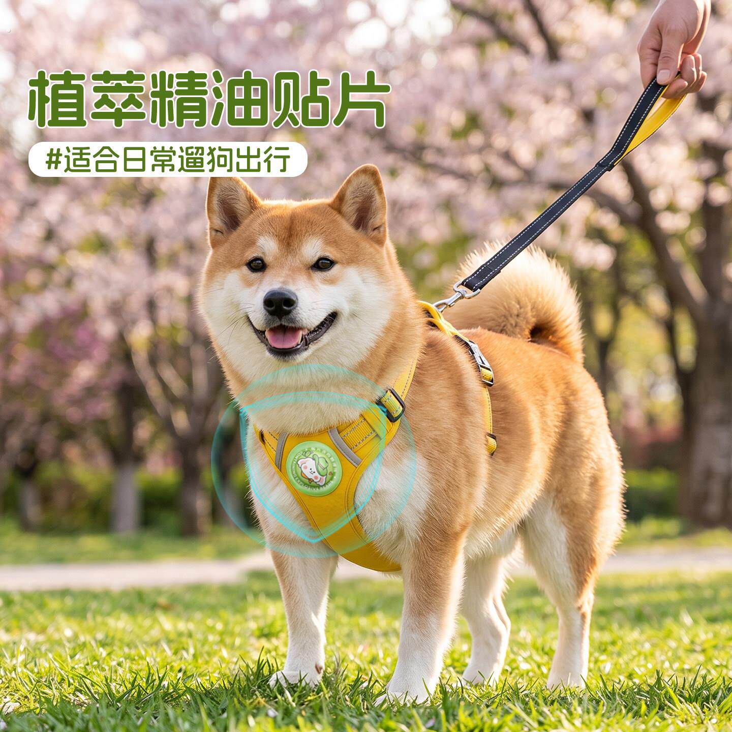 宠物植物精油爆珠贴户外猫咪狗狗柴犬防护贴香氛猫狗通用外出遛狗