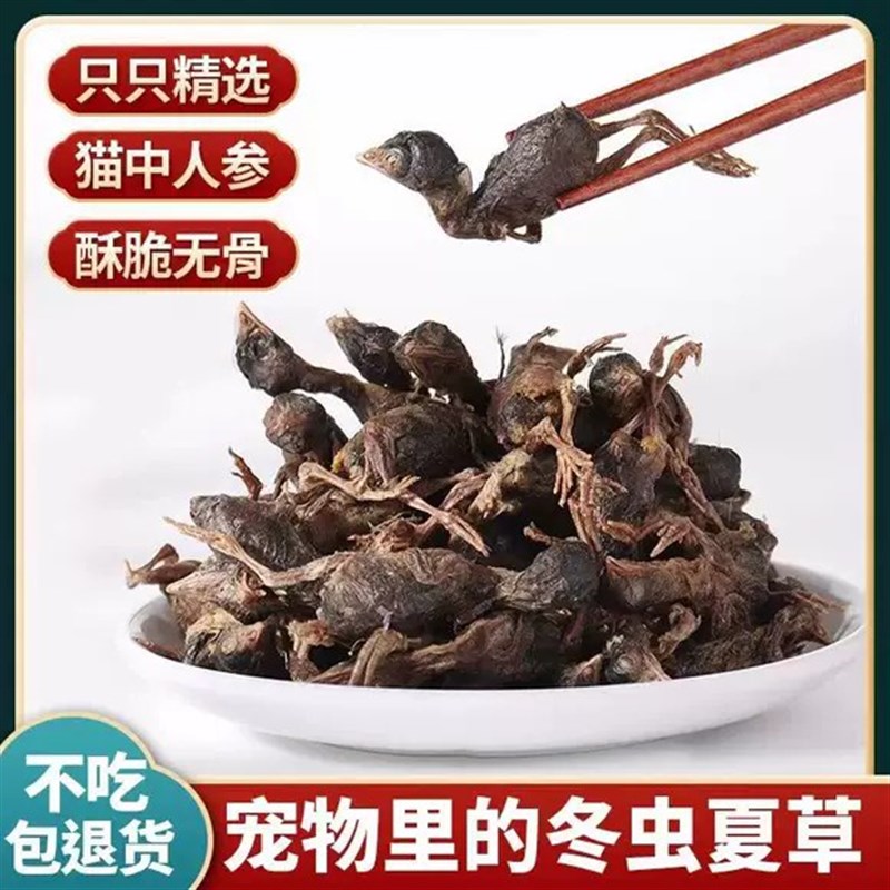 猫咪零食冻干鹌鹑猫零食磨牙营养腮滋补整只鹌鹑宠物狗狗成幼猫粮