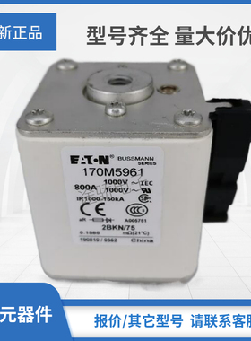 熔断器170M5952/5953/5954/5955/5956/5957/5958/5959/5960/5961