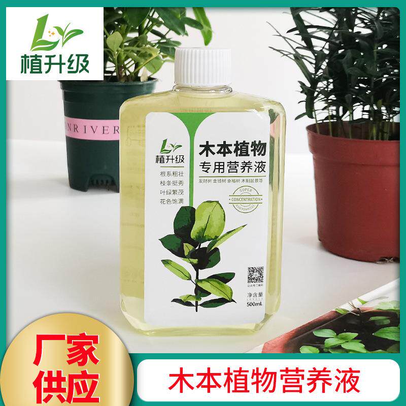 木本植物营养液发财树龙血树营养液多规格可选工厂销售